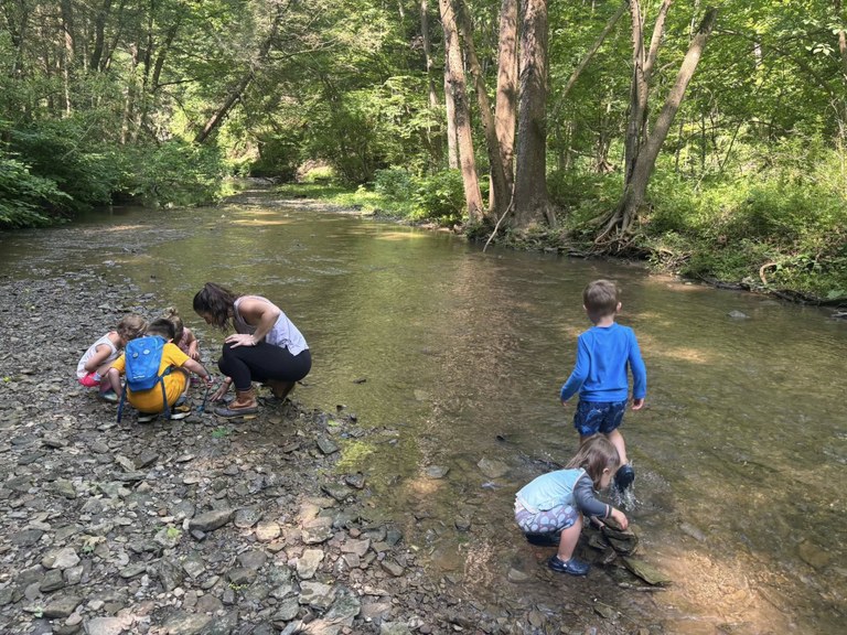 Exploring the creek