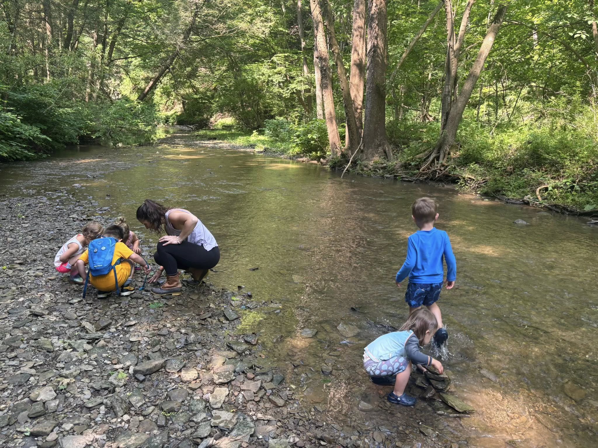 Exploring the creek