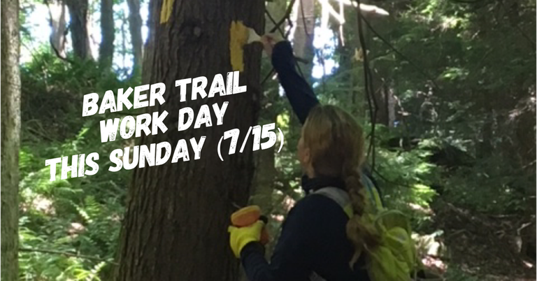 IMG_3863.PNG IMG_3863.PNG