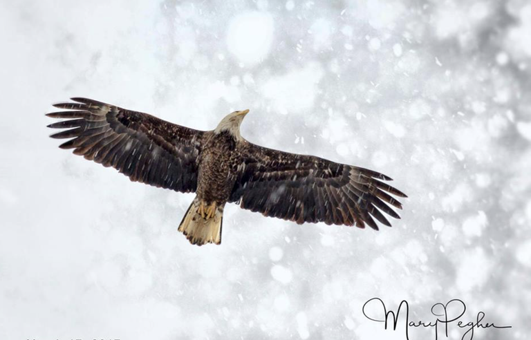 Screen Shot 2019-04-04 at 5.23.51 AM.png Screen Shot 2019-04-04 at 5.23.51 AM.png