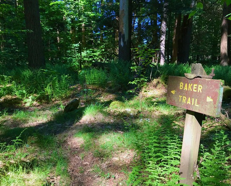 50275898367_d8216e0f64_c.jpg 50275898367_d8216e0f64_c.jpg