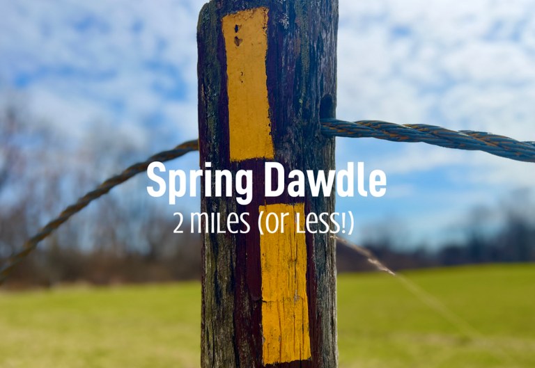 IMG_0D8BEBB2C648-1.jpeg IMG_0D8BEBB2C648-1.jpeg