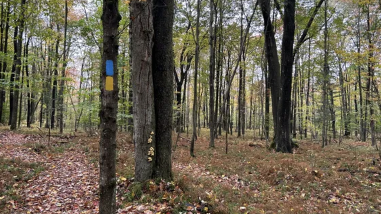 Screenshot 2024-09-16 at 11.17.18 AM.png Screenshot 2024-09-16 at 11.17.18 AM.png