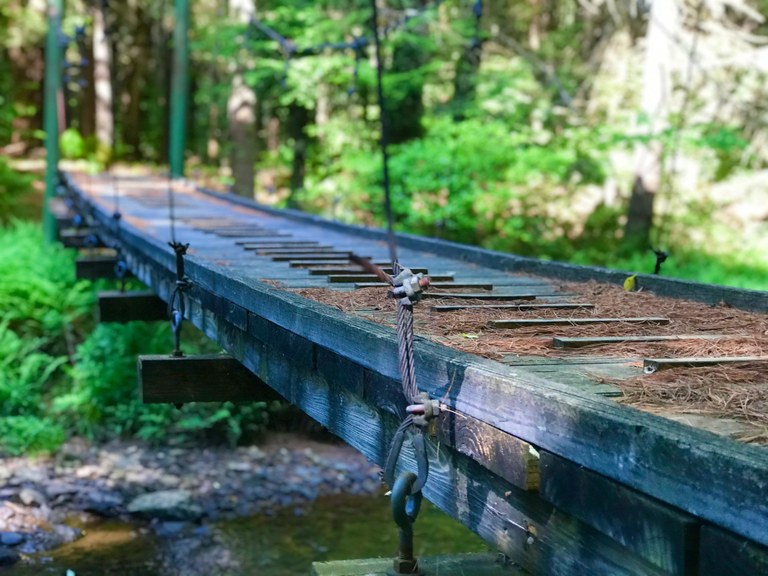 50275062803_eaafad6f1f_4k.jpg 50275062803_eaafad6f1f_4k.jpg