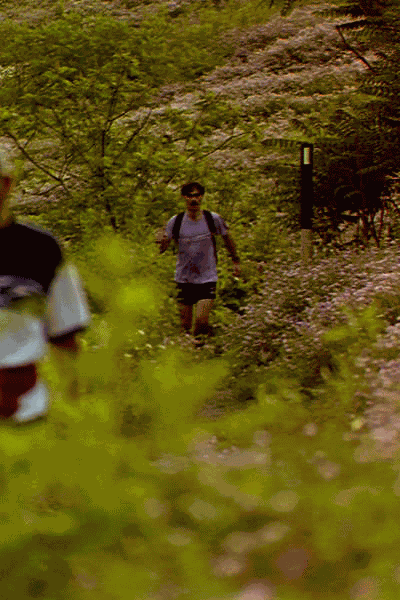 Hikers ascend the ridge above Bull Creek