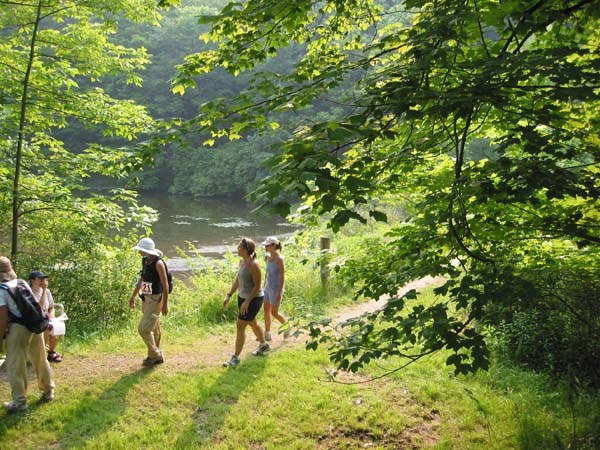 More Challengers finish