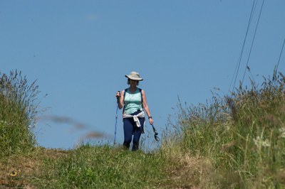 35119097971_0aa0471eed_k.jpg 35119097971_0aa0471eed_k.jpg