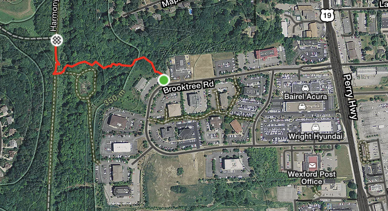 Screen Shot 2018-09-27 at 10.00.26 AM.png Screen Shot 2018-09-27 at 10.00.26 AM.png