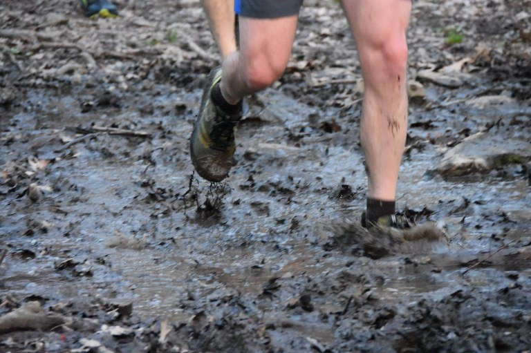 57373130_10101841524407175_2231426331373993984_o.jpg 57373130_10101841524407175_2231426331373993984_o.jpg