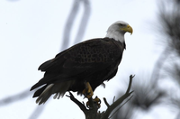 Annual Public Meeting Annual Public Meeting