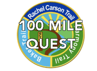 quest patch alone.png quest patch alone.png