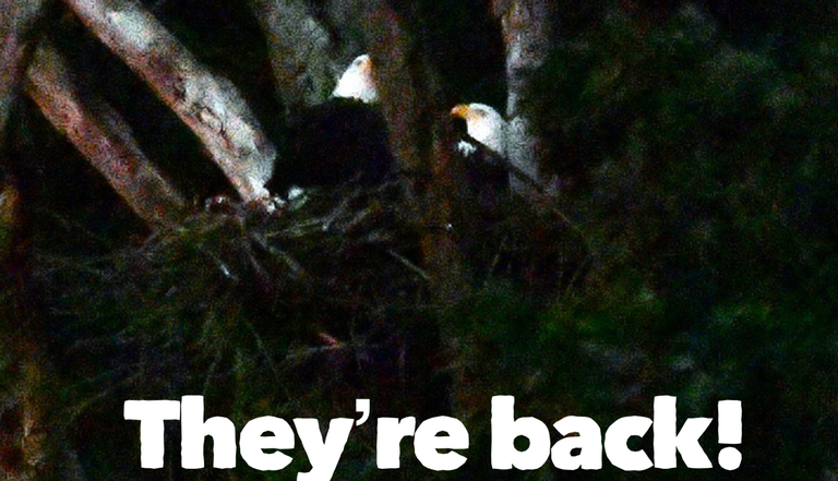 They're back part 2 resized .png They're back part 2 resized .png