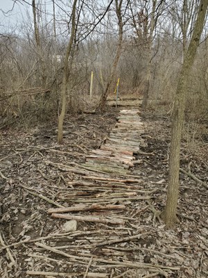 20200314_125512.jpg 20200314_125512.jpg