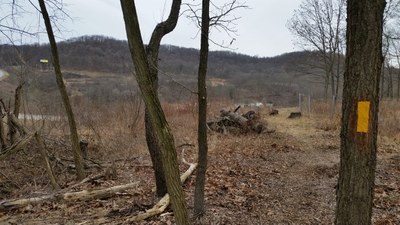 20200314_134741.jpg 20200314_134741.jpg