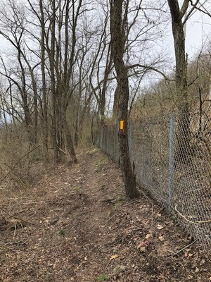 image3.jpeg image3.jpeg