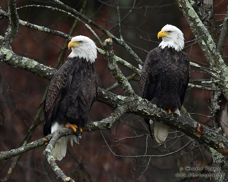 IMG_8575.JPG IMG_8575.JPG