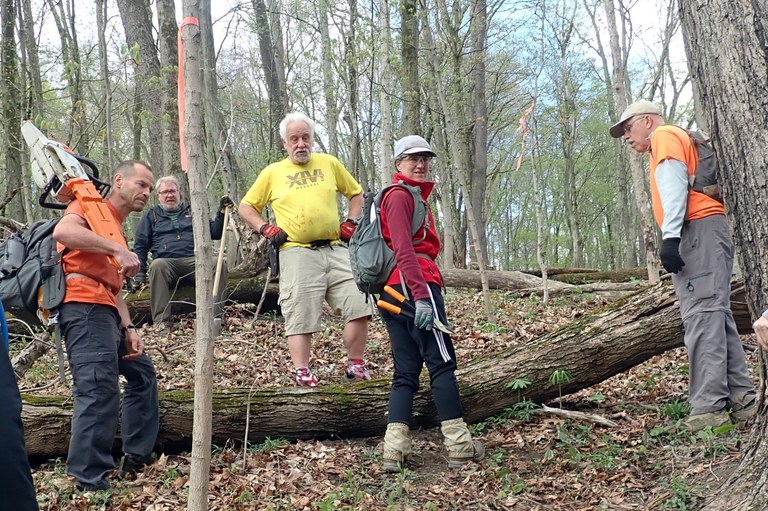 Workday Pic Baileys Run .jpg Workday Pic Baileys Run .jpg